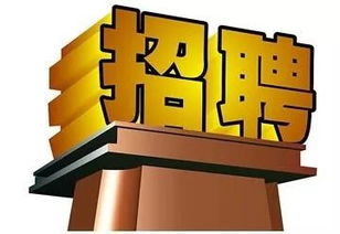 長春軟件開發(fā)行業(yè)迎來新機遇，科技創(chuàng)新助力城市數(shù)字化轉(zhuǎn)型