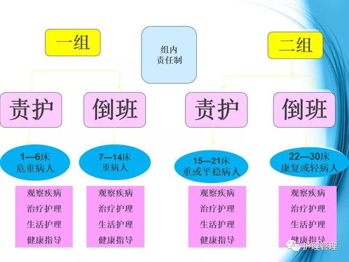 精細化護理管理與服務實踐的探索及技術推廣路徑